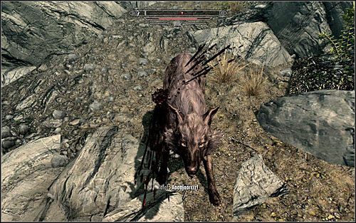 Kontynuuj przeprawę na północ, ale bądź gotowy do odparcia ataku ze strony wilków (powyższy screen) - Spotkanie się z Gerdur | Cisza przed burzą | Solucja Skyrim - Skyrim - poradnik, mapy, questy