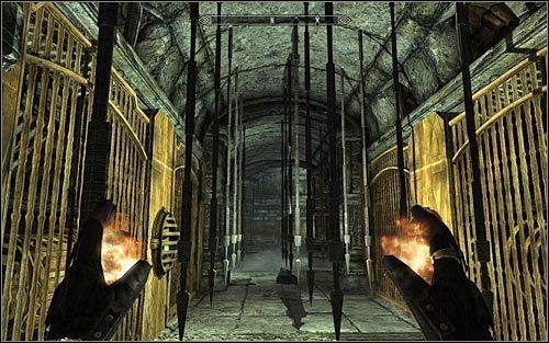 Rodzaj trofeum: brązowe - Trofea w Skyrim - Skyrim - poradnik, mapy, questy