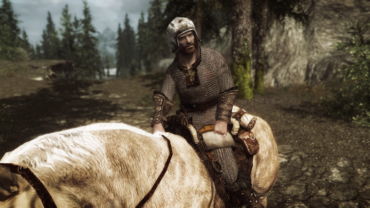 Mod umieszcza w grze prawie 60 nowych zestawów pancerzy, a także mnóstwo nowych tarcz i hełmów bez przynależności do wspomnianych przed chwilą zestawów - Immersive Armors | Mody do Skyrim - Skyrim - poradnik, mapy, questy