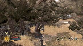 Po chwili do walki dołączą nowi wrogowie - kilku zwykłych wojowników orków i jeden ciężko opancerzony - Zimne Góry (2) | Rozdział 3 | Władca Pierścieni Wojna na Północy - Władca Pierścieni: Wojna na Północy - poradnik do gry