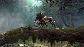 5 - Cieniste ścieżki | Rozdział 5 | Władca Pierścieni Wojna na Północy - Władca Pierścieni: Wojna na Północy - poradnik do gry