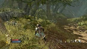 Biegnij przed siebie, a potem w prawo - Leśne moczary | Rozdział 5 | Władca Pierścieni Wojna na Północy - Władca Pierścieni: Wojna na Północy - poradnik do gry