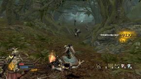 Będą to dwaj ciężko opancerzeni wojownicy, łucznik i jeden zwykły wojownik - Leśne moczary | Rozdział 5 | Władca Pierścieni Wojna na Północy - Władca Pierścieni: Wojna na Północy - poradnik do gry