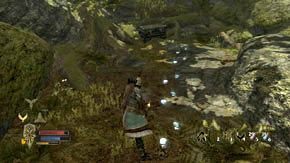 Zanim jednak wejdziesz do obozu, zwróć uwagę na wielkie drzewo po lewej, pod którym można przejść (obok rosną grzyby) - Leśne moczary | Rozdział 5 | Władca Pierścieni Wojna na Północy - Władca Pierścieni: Wojna na Północy - poradnik do gry