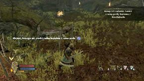 W obozie jest sporo beczek i skrzynek, które można zniszczyć - Leśne moczary | Rozdział 5 | Władca Pierścieni Wojna na Północy - Władca Pierścieni: Wojna na Północy - poradnik do gry