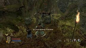 8 - Leśne moczary | Rozdział 5 | Władca Pierścieni Wojna na Północy - Władca Pierścieni: Wojna na Północy - poradnik do gry