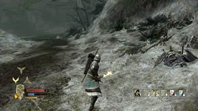 Tuż po lewej rośnie kwiat, jednak zanim ją zbierzesz, pokonaj chmarę małych pająków i dwa wielkie - Leśne moczary | Rozdział 5 | Władca Pierścieni Wojna na Północy - Władca Pierścieni: Wojna na Północy - poradnik do gry