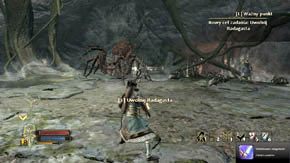 Tak naprawdę największym kłopotem będą chmary małych pająków, które Saenathra co jakiś czas będzie przywoływać - Serce sieci | Rozdział 5 | Władca Pierścieni Wojna na Północy - Władca Pierścieni: Wojna na Północy - poradnik do gry