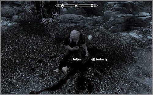 W celu dotarcia do wejścia do sanktuarium najlepiej jest przemieszczać się przy brzegu - Lek na szaleństwo (1) | Zadania Mrocznego Bractwa | Solucja Skyrim - Skyrim - poradnik, mapy, questy