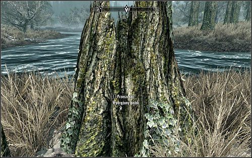 Na poszukiwania skarbów warto wyruszyć dopiero po tym jak poznasz lokalizacje wszystkich czterech kryjówek - Różne- Zabierz ukryty skarb | Zadania Mrocznego Bractwa | Solucja Skyrim - Skyrim - poradnik, mapy, questy