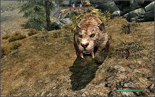 Jedyny możliwy zleceniodawca tego questu to Aela - Eksterminacja | Zadania Towarzyszy | Solucja Skyrim - Skyrim - poradnik, mapy, questy