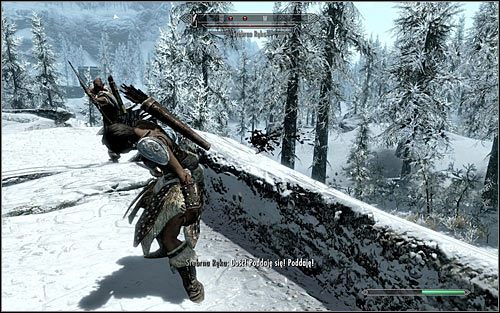 Jedyny możliwy zleceniodawca tego questu to Aela - Kradzież planów | Zadania Towarzyszy | Solucja Skyrim - Skyrim - poradnik, mapy, questy