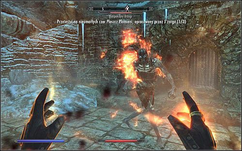 Pozostało Ci już tylko zbliżyć się do potworów i zaczekać aż zaklęcie zacznie działać (powyższy screen) - Eksperyment Jzargo | Questy Akademii w Zimowej Twierdzy | Solucja Skyrim - Skyrim - poradnik, mapy, questy