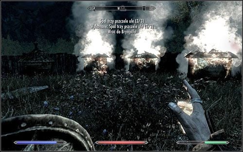 Ule można podpalić na kilka sposobów - używając zaklętego łuku zadającego obrażenia od ognia, przy pomocy magii oraz przy użyciu pochodni - W otwarte karty | Questy Gildii Złodziei | Solucja Skyrim - Skyrim - poradnik, mapy, questy