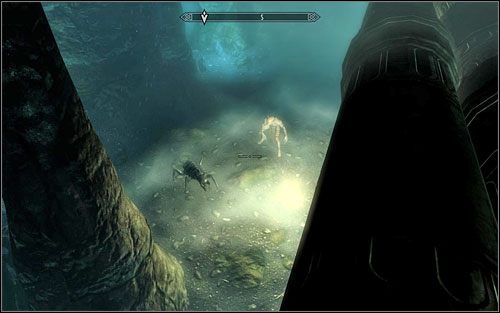 Przed Tobą znajduje się kolejna wioska, tym razem zamieszkana nie tylko przez falmerów, ale również gigantyczne robaki - chaurusy - Ślepota | Questy Gildii Złodziei | Solucja Skyrim - Skyrim - poradnik, mapy, questy