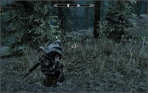 Jeżeli wyraziłeś swoją aprobatę wobec planu Hadvara, to warto przede wszystkim zaczekać na nastanie nocy - Istotna danina | Questy Legionu Cesarskiego | Solucja Skyrim - Skyrim - poradnik, mapy, questy