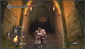 8 - Undead Asylum | Opis przejścia Dark Souls - Dark Souls - poradnik do gry
