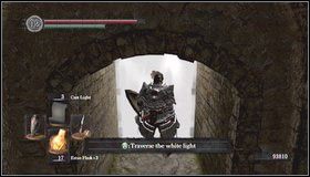 Biegniemy schodami do góry [1] i przechodzimy przez mgłę - Undead Asylum | Opis przejścia Dark Souls - Dark Souls - poradnik do gry