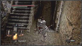 11 - Undead Asylum | Opis przejścia Dark Souls - Dark Souls - poradnik do gry