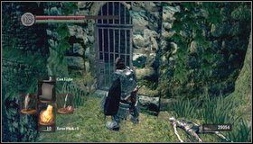 W Valley of the Drakes przechodzimy przez wąski mostek i kierujemy się w lewo - Blighttown - bagna | Opis przejścia Dark Souls - Dark Souls - poradnik do gry