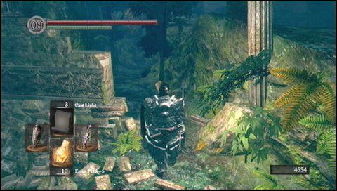 Dotrzemy do zamglonego przejścia i odnogi w prawo - Darkroot Garden (1) | Opis przejścia Dark Souls - Dark Souls - poradnik do gry