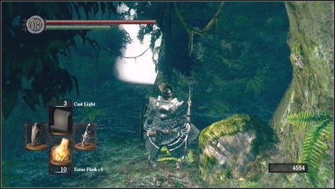 Za mgłą trafimy na szeroką połać lasu - Darkroot Garden (1) | Opis przejścia Dark Souls - Dark Souls - poradnik do gry