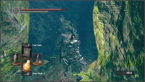 1 - Darkroot Garden (1) | Opis przejścia Dark Souls - Dark Souls - poradnik do gry