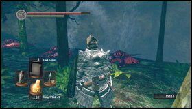 1 - Darkroot Garden (2) | Opis przejścia Dark Souls - Dark Souls - poradnik do gry