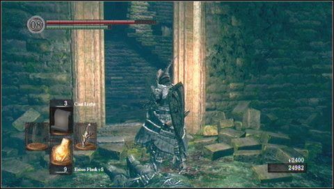 Najpierw sprawdzamy pozostałą część lokacji - trafimy na drzewo z dziwnymi gałęziami - Darkroot Garden (2) | Opis przejścia Dark Souls - Dark Souls - poradnik do gry