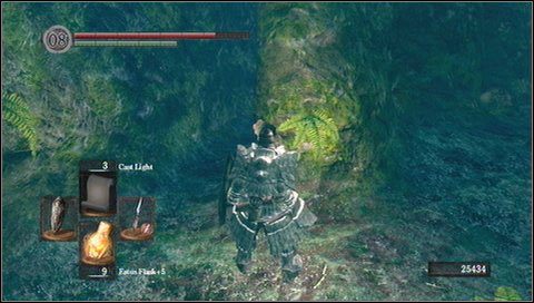 Po sprawdzeniu powyższych miejsc, wchodzimy do wieży i stajemy do walki z Moonlight Butterfly - Darkroot Garden (2) | Opis przejścia Dark Souls - Dark Souls - poradnik do gry