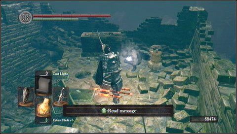 2 - Darkroot Garden (2) | Opis przejścia Dark Souls - Dark Souls - poradnik do gry