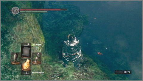 Najlepiej udać się półką skalną po lewej - Darkroot Basin | Opis przejścia Dark Souls - Dark Souls - poradnik do gry