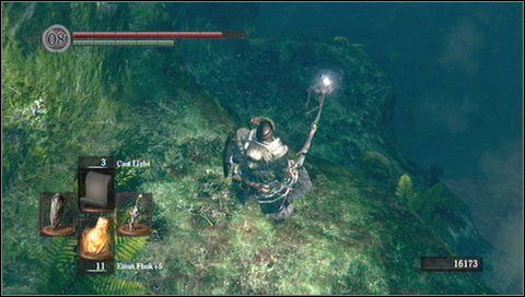 Po zebraniu przedmiotów zeskakujemy jeszcze niżej i biegniemy przed siebie - Darkroot Basin | Opis przejścia Dark Souls - Dark Souls - poradnik do gry