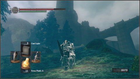 Droga w lewo, przez szerszy przesmyk, prowadzi do jeziora i Hydry (metodę na nią opisaliśmy w dziale o bossach) - Darkroot Basin | Opis przejścia Dark Souls - Dark Souls - poradnik do gry