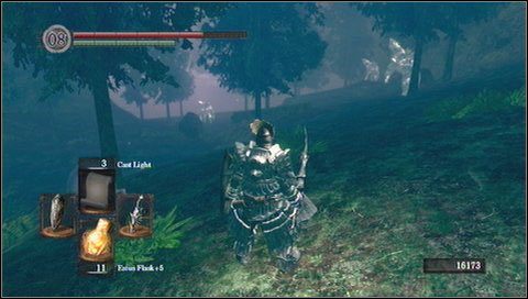 Z tego miejsca można też zejść jeszcze niżej kolejną krętą drogą - Darkroot Basin | Opis przejścia Dark Souls - Dark Souls - poradnik do gry