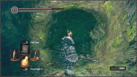Za ogniskiem jest też winda, która prowadzi do Valley of the Drakes - Darkroot Basin | Opis przejścia Dark Souls - Dark Souls - poradnik do gry