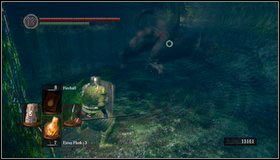 1 - Darkroot Garden II | Opis przejścia Dark Souls - Dark Souls - poradnik do gry