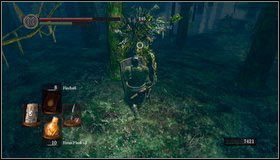 Sprawdźmy najpierw co znajduje się wcześniej - kolejna połać lasu - Darkroot Garden II | Opis przejścia Dark Souls - Dark Souls - poradnik do gry