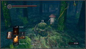 4 - Darkroot Garden II | Opis przejścia Dark Souls - Dark Souls - poradnik do gry