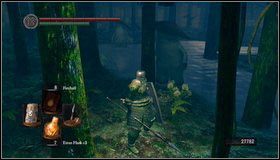 Wracamy za legowisko kotów - Darkroot Garden II | Opis przejścia Dark Souls - Dark Souls - poradnik do gry
