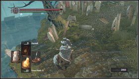 Droga do The Catacombs wiedzie z Fireshrine za wielkiego kruka - The Catacombs (1) | Opis przejścia Dark Souls - Dark Souls - poradnik do gry