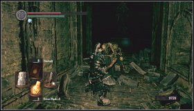 10 - The Catacombs (3) | Opis przejścia Dark Souls - Dark Souls - poradnik do gry