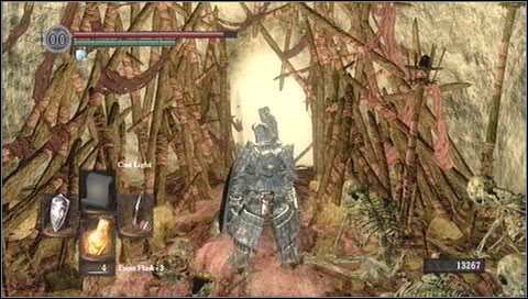 14 - Tomb of Kings (2) | Opis przejścia Dark Souls - Dark Souls - poradnik do gry