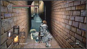 2 - The Dukes Archives II (1) | Opis przejścia Dark Souls - Dark Souls - poradnik do gry