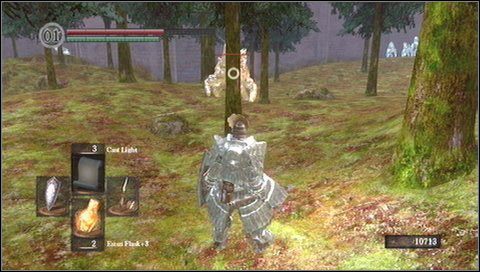 7 - The Dukes Archives II (2) | Opis przejścia Dark Souls - Dark Souls - poradnik do gry