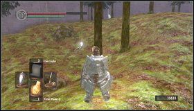 8 - The Dukes Archives II (2) | Opis przejścia Dark Souls - Dark Souls - poradnik do gry