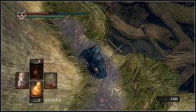 5 - Bonus- The Great Hollow | Opis przejścia Dark Souls - Dark Souls - poradnik do gry