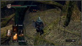 7 - Bonus- The Great Hollow | Opis przejścia Dark Souls - Dark Souls - poradnik do gry