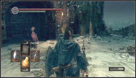 2 - Bonus- Painted World of Ariamis (1) | Opis przejścia Dark Souls - Dark Souls - poradnik do gry