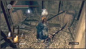 6 - Bonus- Painted World of Ariamis (1) | Opis przejścia Dark Souls - Dark Souls - poradnik do gry